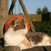Photo de Minette