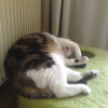 Photo de Ugo