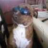 Photo de Axel