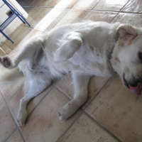 Photo de profil de Una bella