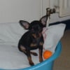 Photo de Douby