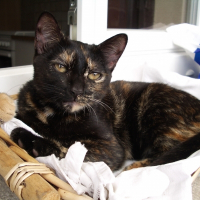 Photo de profil de Mia