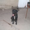 Photo de Seven