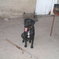 Photo de profil de Seven