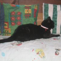 Photo de profil de Zoé