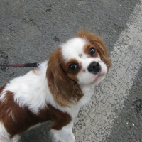 Photo de profil de Vicky