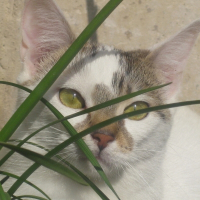 Photo de profil de Maya