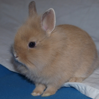 Photo de profil de Tichou