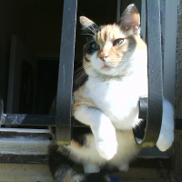 Photo de profil de Mélodie