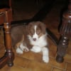 Photo de Ethna