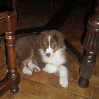 Photo de profil de Ethna