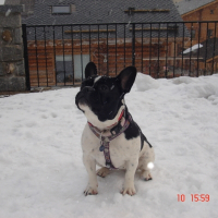 Photo de profil de Christie