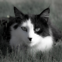 Photo de profil de Timimi