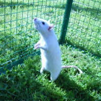 Photo de profil de Flashy