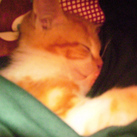 Photo de profil de Caramel