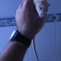 Photo de profil de Zoë