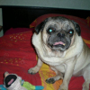 Photo de Spooky