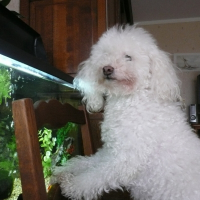 Photo de profil de Nounours