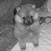 Photo de profil de Chanel