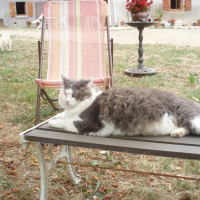 Photo de profil de Rosalie