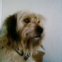 Photo de profil de Princesse