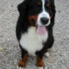 Photo de Clovis