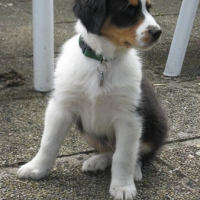 Photo de profil de Eliott