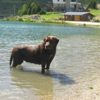 Photo de profil de Nouk