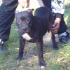 Photo de Erko