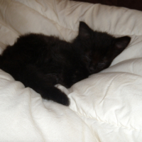 Photo de profil de Mimi