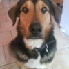Photo de Leo