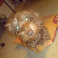 Photo de profil de Eclipse
