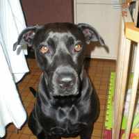 Photo de profil de Altéa