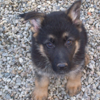 Photo de profil de Tag