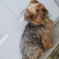 Photo de profil de Mia