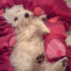 Photo de Catsumi