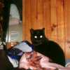 Photo de Minette