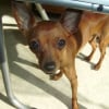 Photo de Daiko