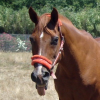 Photo de profil de Maiko