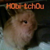 Photo de Hobi wan kenobi