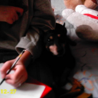 Photo de profil de Junior