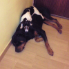 Photo de Sonny