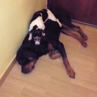 Photo de profil de Sonny