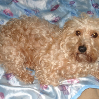 Photo de profil de Sally