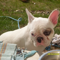 Photo de profil de Kenja