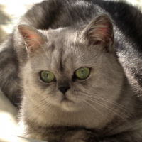 Photo de profil de Malys