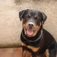 Photo de profil de Tina1