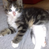 Photo de profil de Leelou