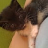 Photo de Dora