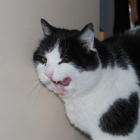 Photo de profil de Jupiter